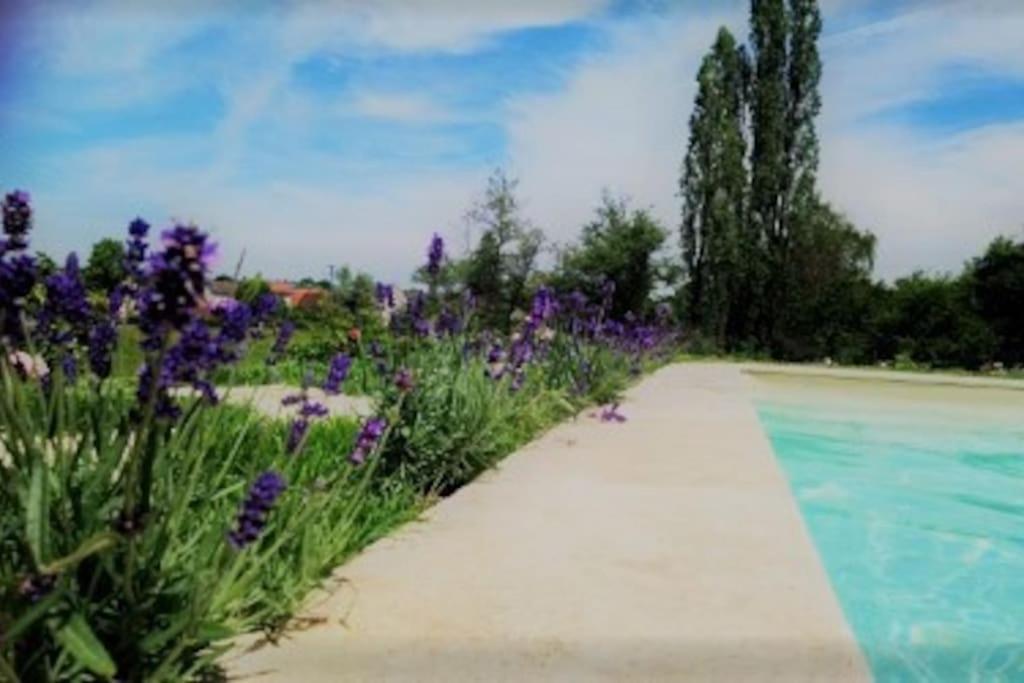 Les Vacances Passy  Extérieur photo